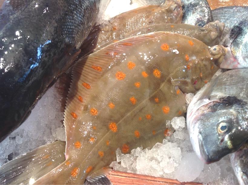 Inside Secrets About Flat Fish - cookbuzz